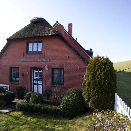 Vakantiehuis Friesenhus *