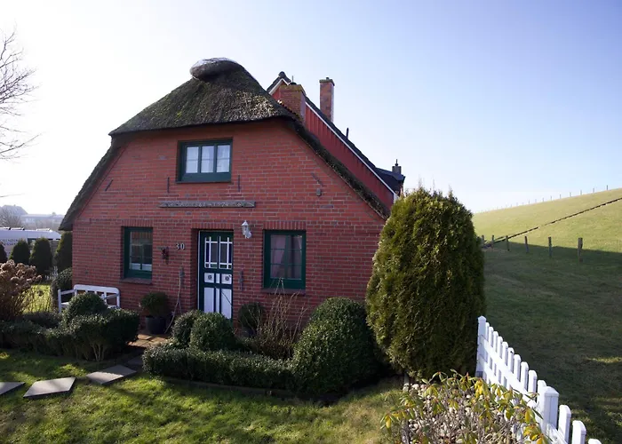 Vakantiehuis Friesenhus *